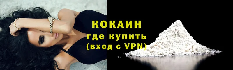 купить  цена  Шлиссельбург  COCAIN VHQ 